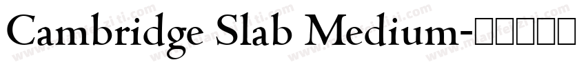 Cambridge Slab Medium字体转换